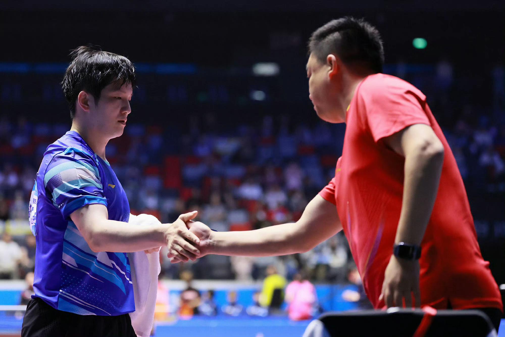 日本队力克韩国队，樊振东状态火热的简单介绍