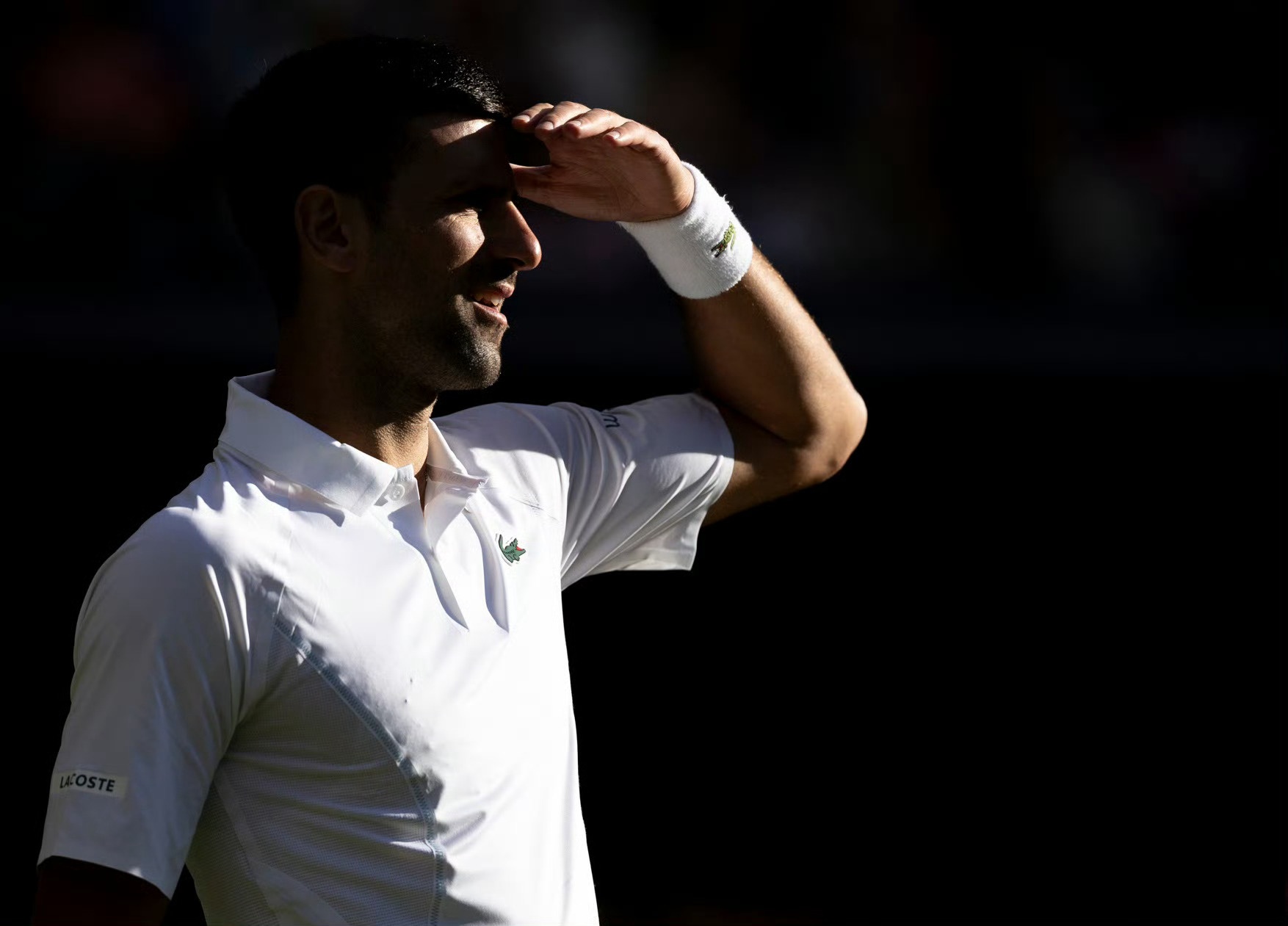 温网逆转年终总决赛，梅德韦杰夫刷新纪录