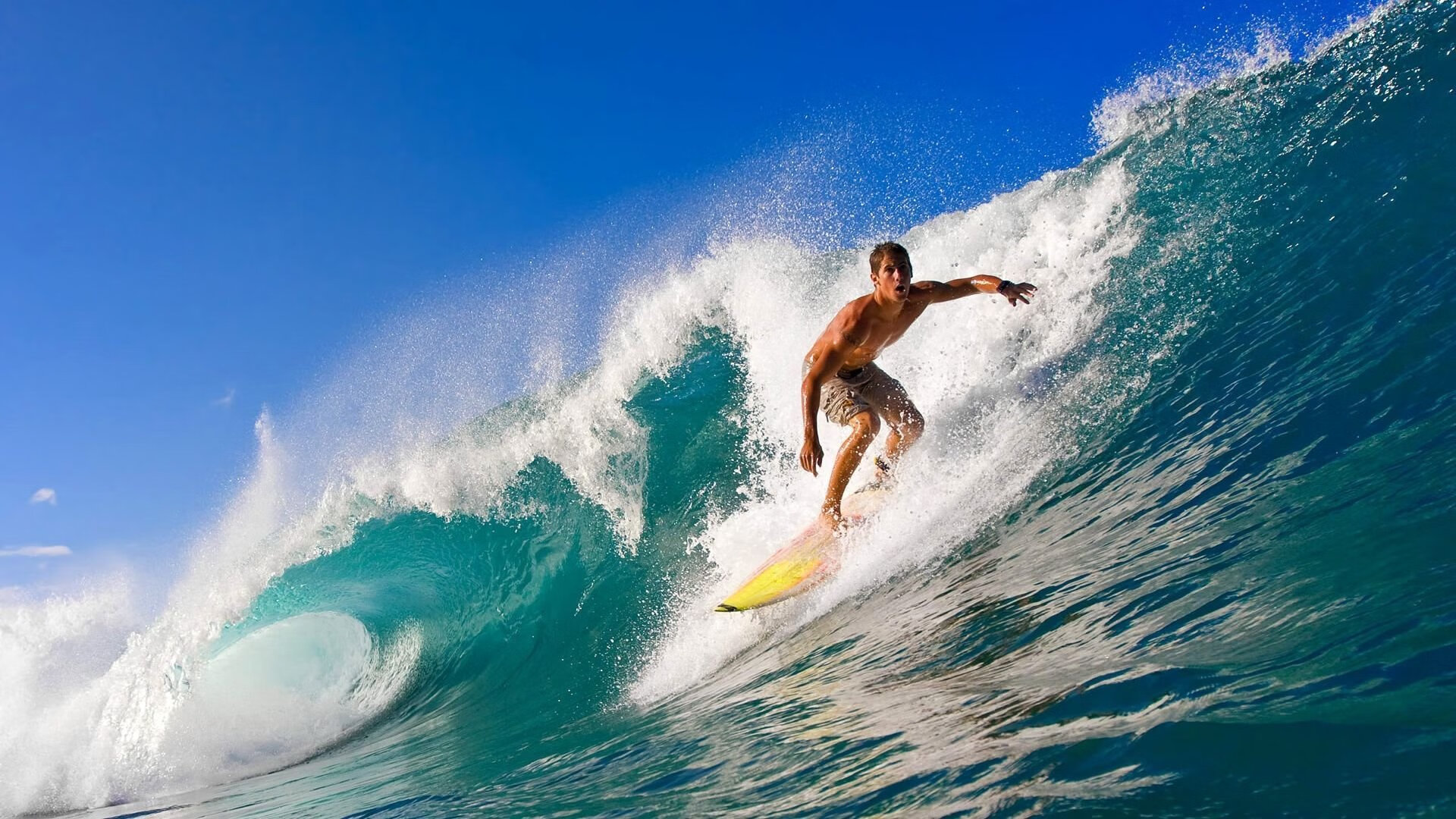 赛道上的灰熊时刻，霍勒迪如何在F1年度争冠中带走雄鹿